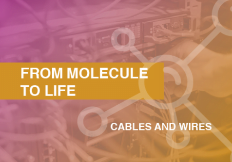From molecule to life: Cables and wires